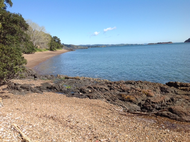 Kawakawa Bay. Not far from Auckland, where Dr, David Scott grew up 