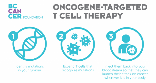 Oncogene-targeted T cell therapy