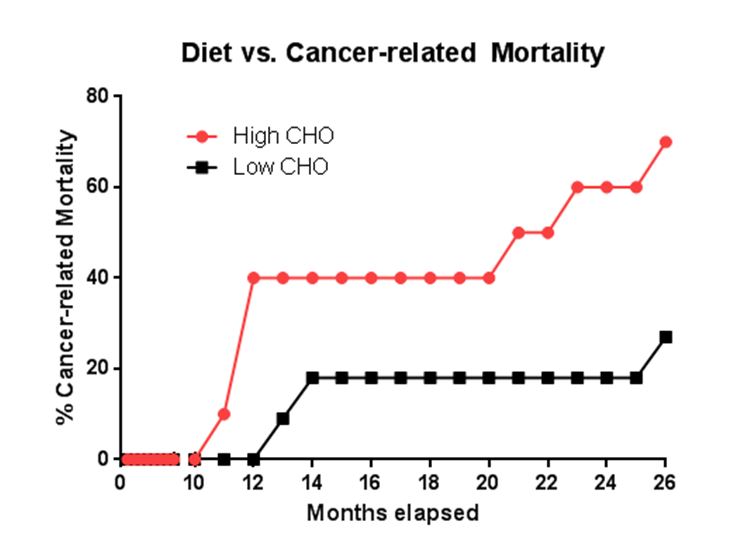 Diet vs Cancer-related Mortality