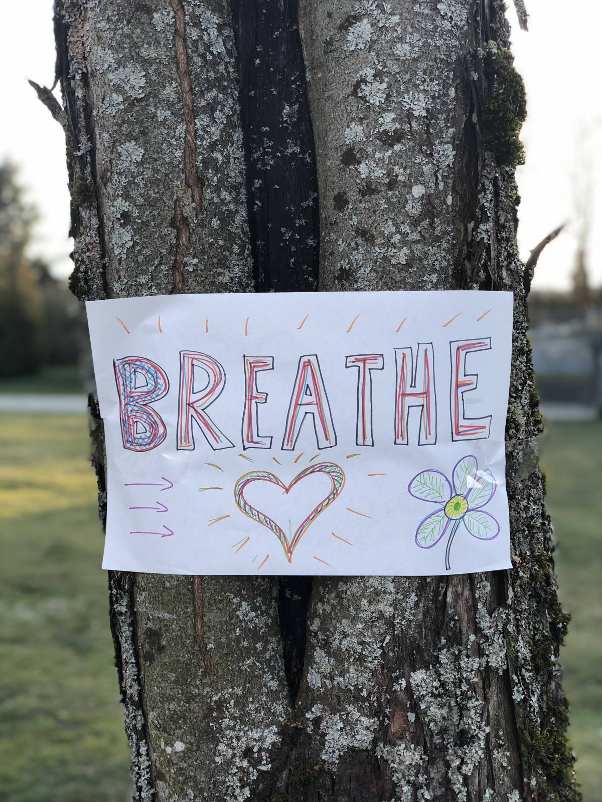 Encouraging message posted on a tree