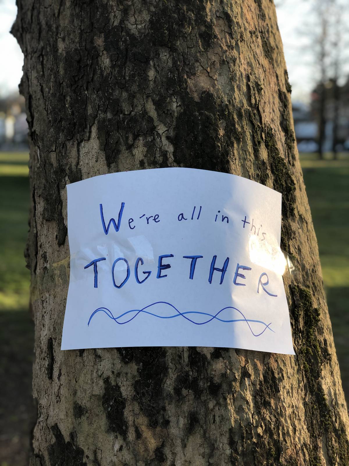 Encouraging message posted on a tree
